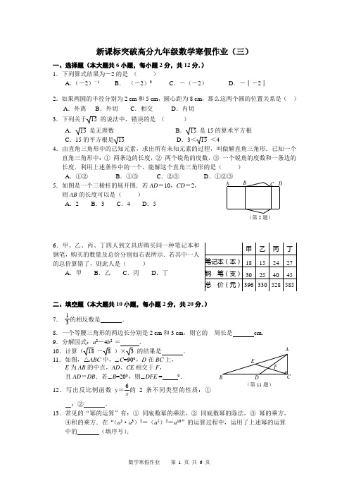 新课标突破高分寒假作业(三)