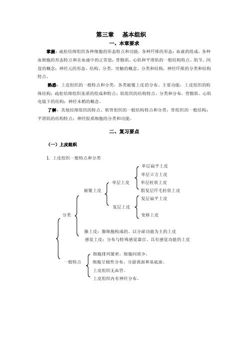 第三章基本组织