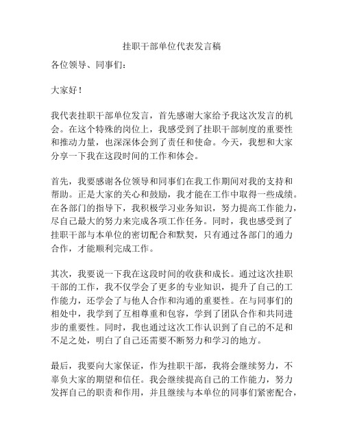 挂职干部单位代表发言稿