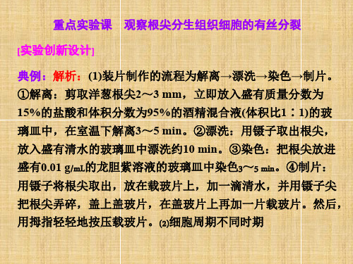 【三维设计】高考生物一轮复习 第四单元 第一讲 重点实验课 观察根尖分生组织细胞的有丝分裂名师课件 新人