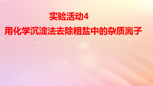 新教材高中化学第五章第一节实验活动4用化学沉淀法去除粗盐中的杂质离子pptx课件新人教版必修第二册