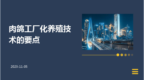 肉鸽工厂化养殖技术的要点