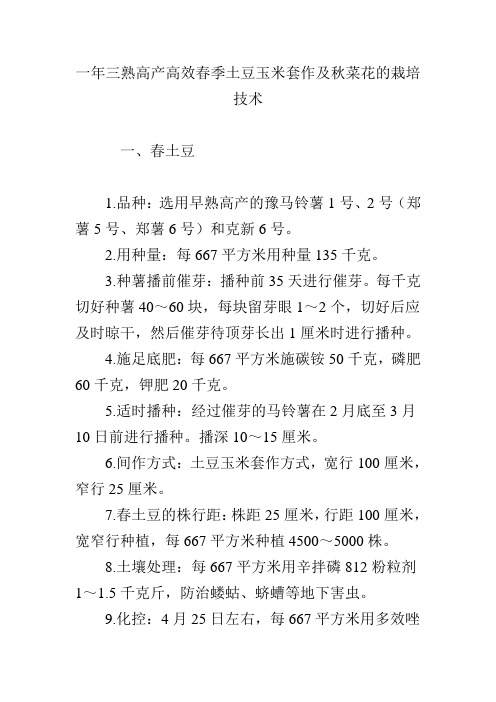 一年三熟高产高效春季土豆玉米套作及秋菜花的栽培技术