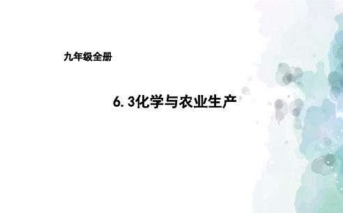 鲁教版化学九年级6.3化学与农业生产