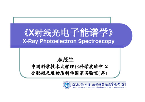 X-Ray Photoelectron Spectroscopy 麻茂生