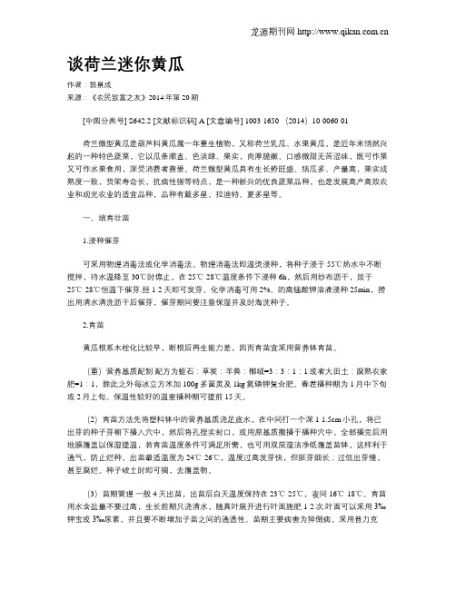 谈荷兰迷你黄瓜