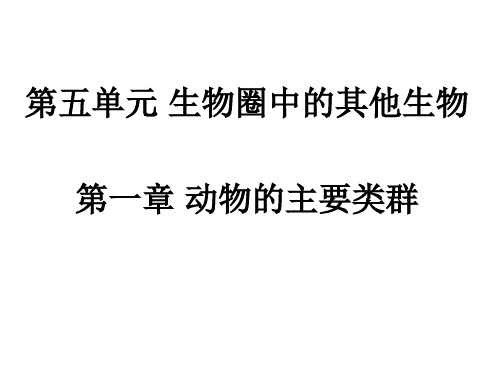 人教课标版初中生物八年级上册第五单元第一章第一节 腔肠动物和扁形动物(共20张PPT)