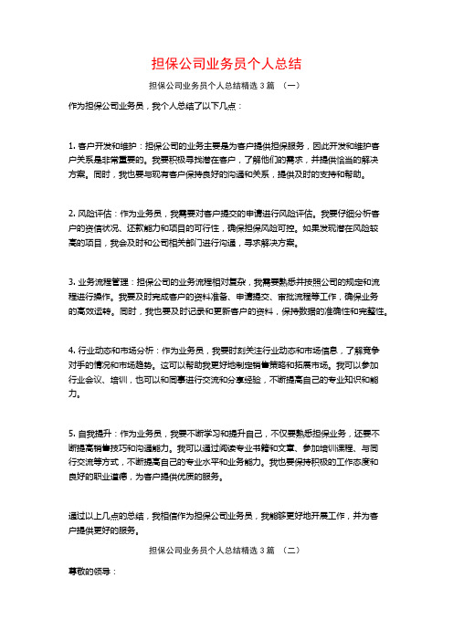 担保公司业务员个人总结3篇