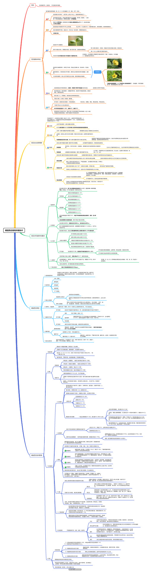 棚室西瓜栽培关键技术思维导图