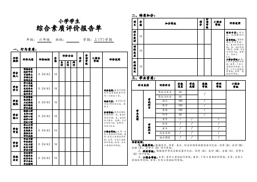 6小学生综合素质评价体系(六年级上、下学期)