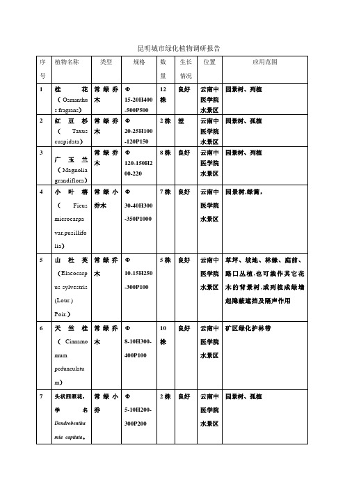 昆明城市绿化植物调研报告总表2