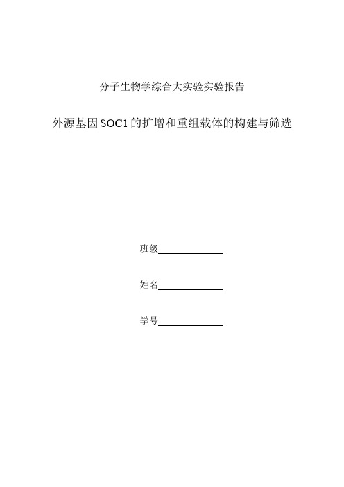 分子生物学综合大实验实验报告