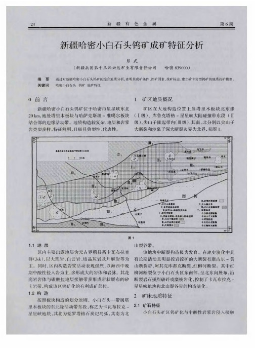 新疆哈密小白石头钨矿成矿特征分析