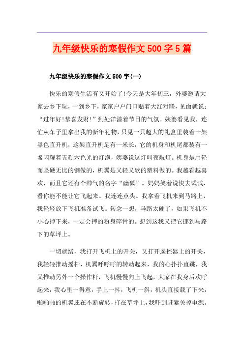 九年级快乐的寒假作文500字5篇