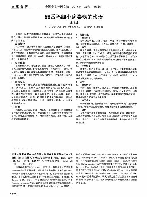 埃博拉病毒NP蛋白的单克隆抗体制备及抗原肽的定位