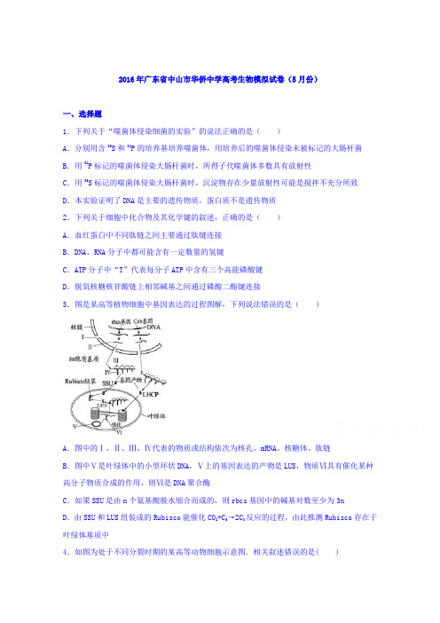 中山市华侨中学2016届高考生物模拟试卷(5月份) 含解析