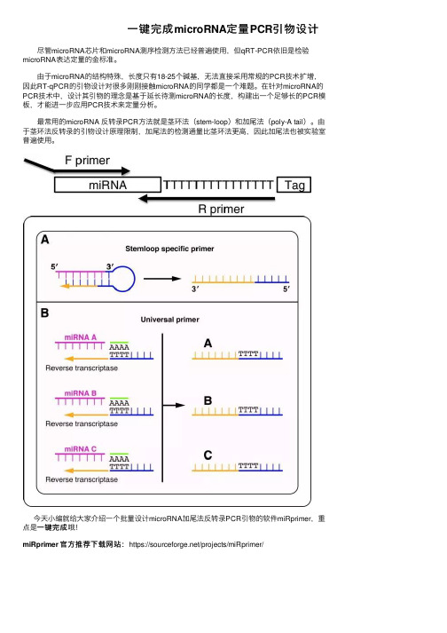 一键完成microRNA定量PCR引物设计