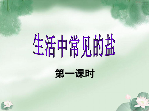 《生活中常见的盐》课件