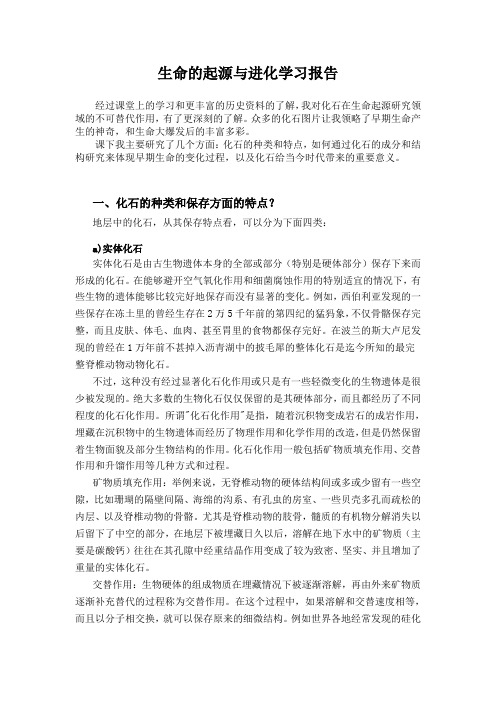 生命的起源与进化学习报告