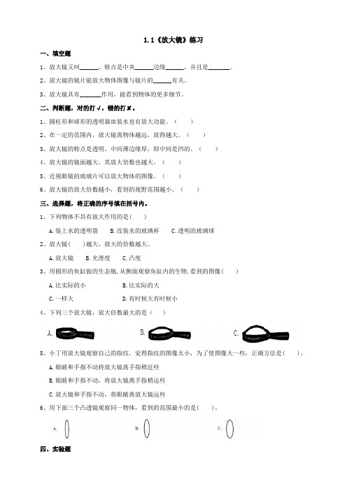 最新教科版小学科学六年级上册《放大镜》练习(含答案)