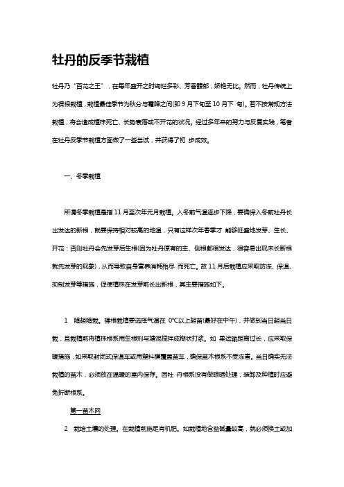牡丹的反季节栽植