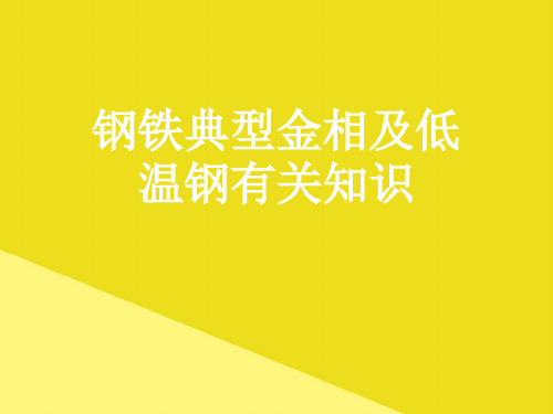 钢铁典型金相及低温钢有关知识PPT资料(正式版)