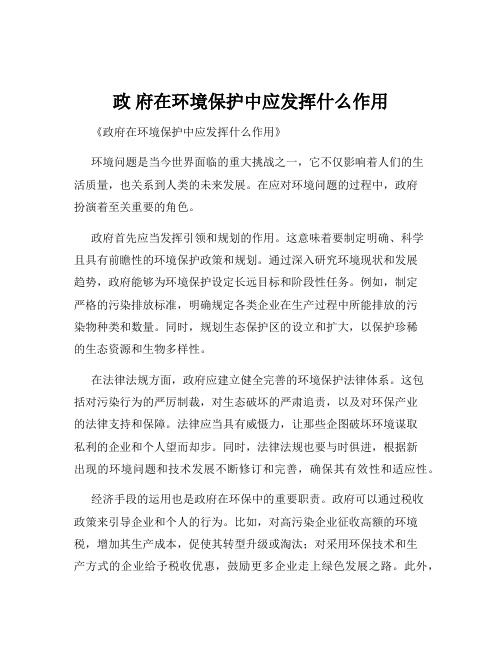 政 府在环境保护中应发挥什么作用