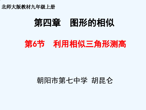 北师大版初三数学上册4.6 利用相似三角形测高.6 利用相似三角形测高