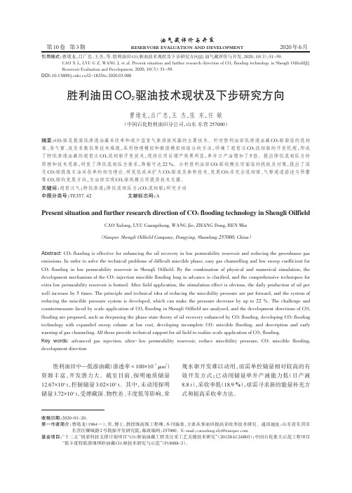 胜利油田CO2驱油技术现状及下步研究方向