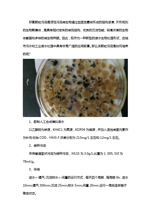 好氧颗粒污泥的培养方法