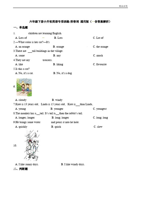 六年级下册英语试题-小升初英语专项训练 形容词 通用版(含答案解析)
