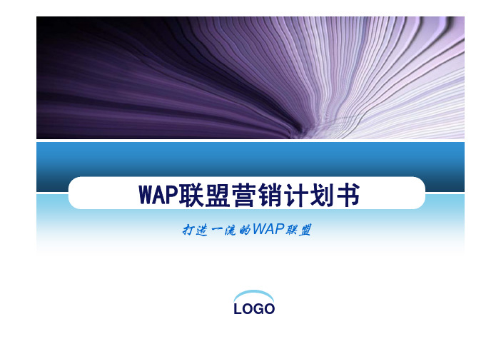 wap计划书完整