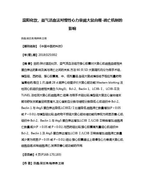 温阳化饮、益气活血法对慢性心力衰竭大鼠自噬-凋亡机制的影响