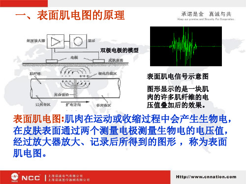 表面肌电图基础知识