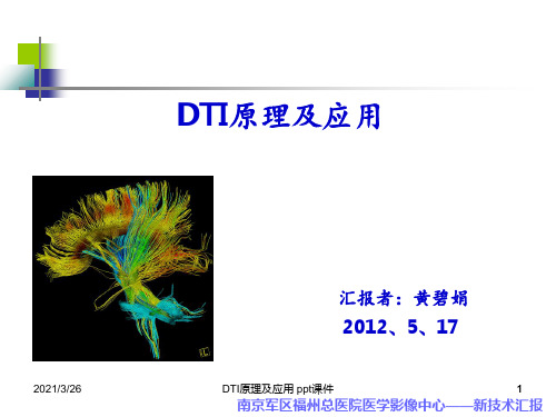 DTI原理及应用 ppt课件