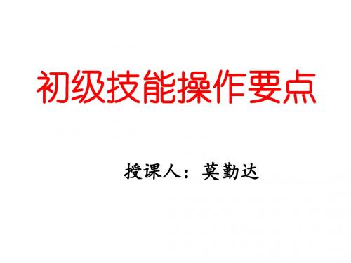初级技能操作要点新-PPT精品文档