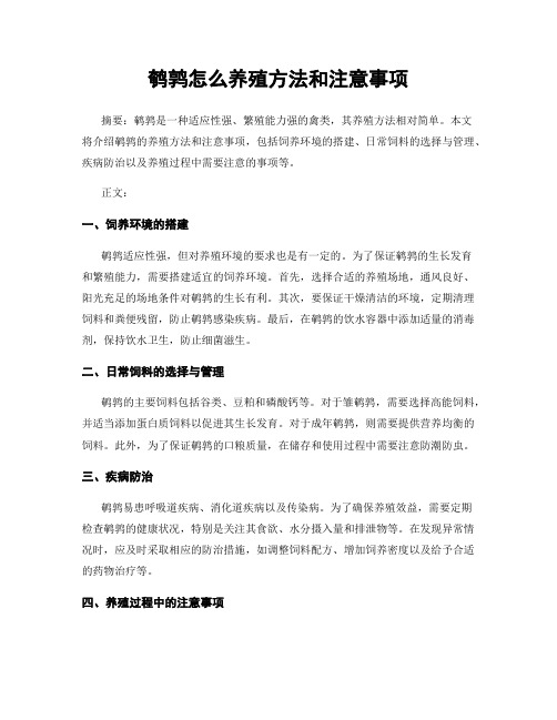 鹌鹑怎么养殖方法和注意事项