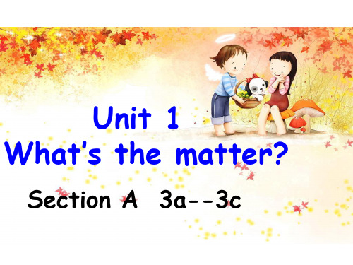 Unit 1What's_the_matter  A 3a-3c精心修改