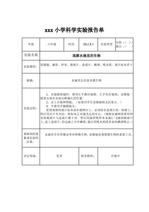 六年级科学实验报告单