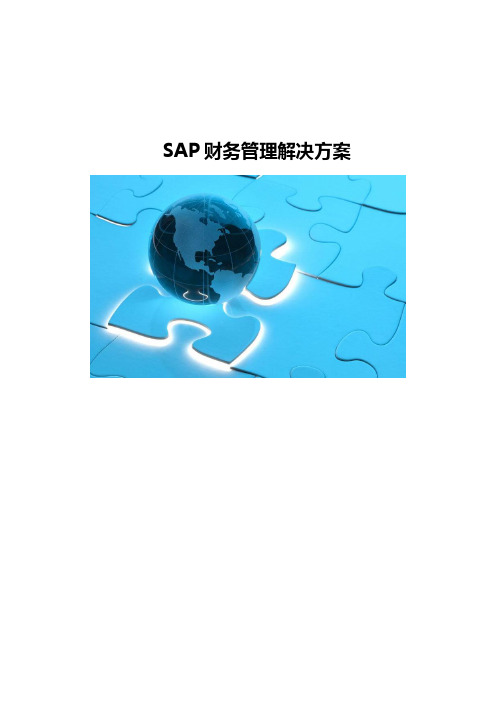 SAP财务管理解决方案