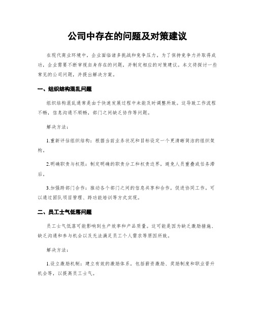 公司中存在的问题及对策建议