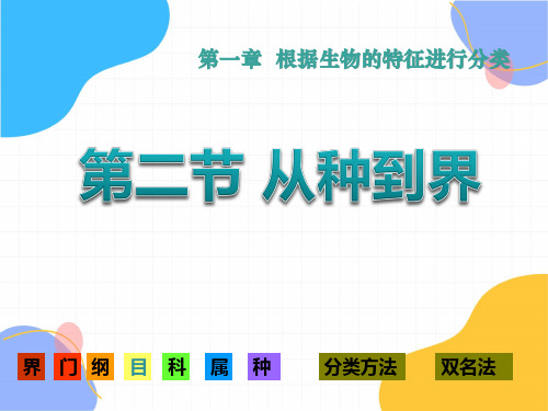 生物人教版八年级(上册)6.1.2从种到界(共25张)(2024版新教材)