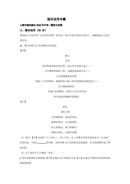 上海市部分地区2023年中考一模(期末)语文试题分类汇编：综合运用专题