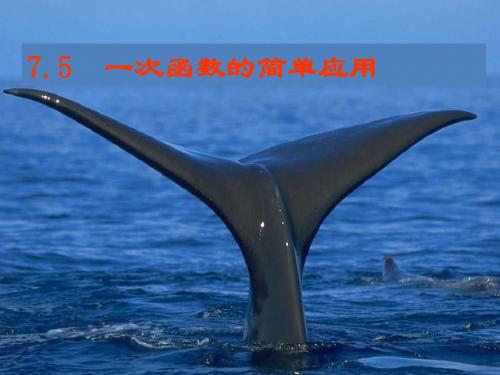 数学:7.5《一次函数的简单应用》课件(浙教版八年级上)