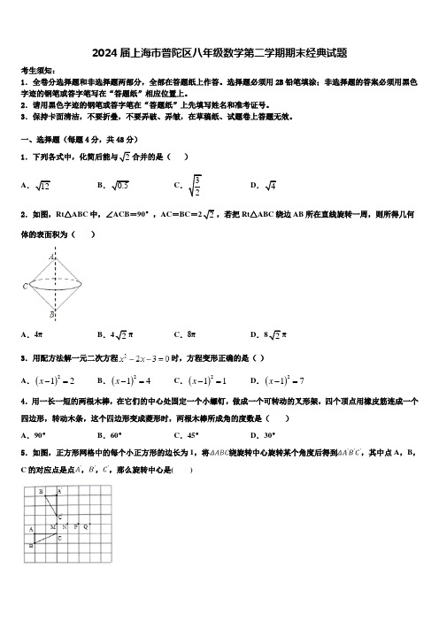 2024届上海市普陀区八年级数学第二学期期末经典试题含解析