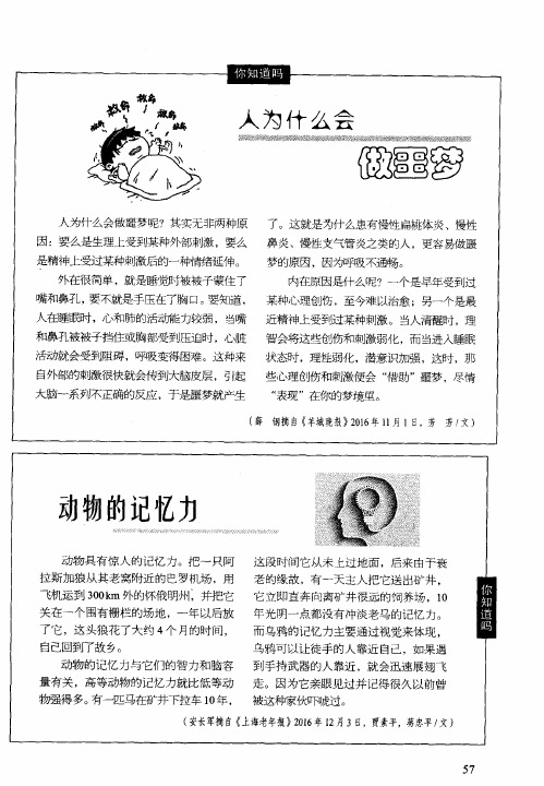 人为什么会做噩梦