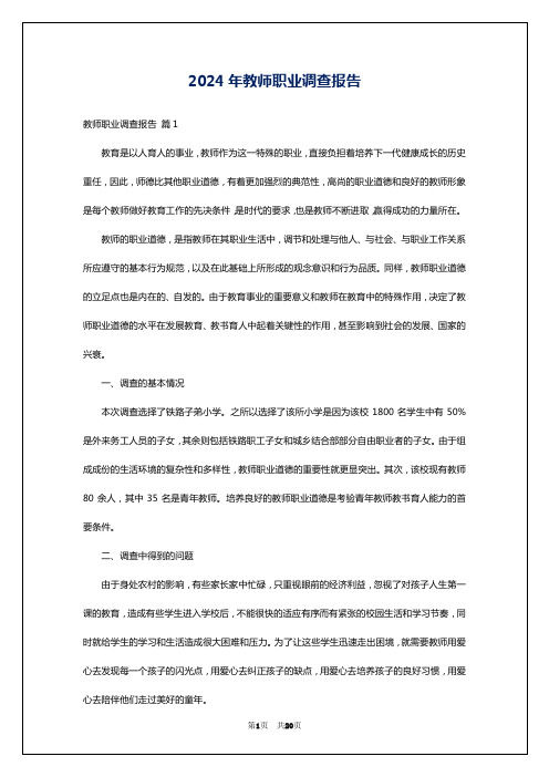 2024年教师职业调查报告