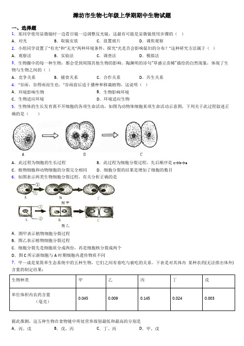 潍坊市生物七年级上学期期中生物试题