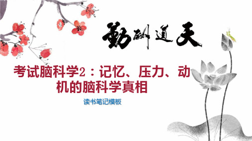 考试脑科学2:记忆、压力、动机的脑科学真相