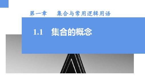 集合的概念(2课时)(课件)高一数学(人教A版2019必修第一册)